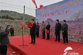 不负春光 ‘桃’醉下村 2018首届兰陵下村桃花节开幕图片