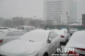 暴雪突降张家口 阳原降雪量为19.5mm图片