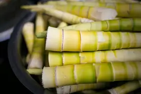 问答｜春笋虽美不易消化，不宜和哪些食物一起食用？图片