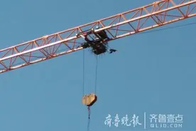 难得一见！人与鸟儿同一塔吊共同盖房图片
