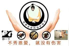 这里有一碗1998年的狗粮了解一下？图片