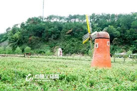 精品线带“旺”乡村游 美丽乡村乐享义乌图片