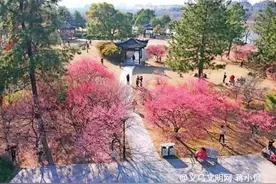 义乌：气温先升后降 冷空气后半周来袭图片