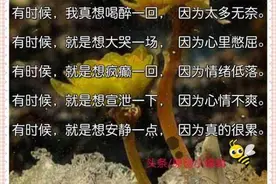 千般的借口，也逃不过一句无奈，说的太好了！图片