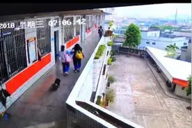 一只狗窜进校园撒欢 学生被追着跑图片