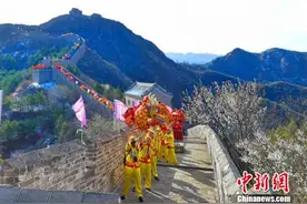 第六届金山岭长城杏花节开幕 惊艳了春意盎然的古长城图片