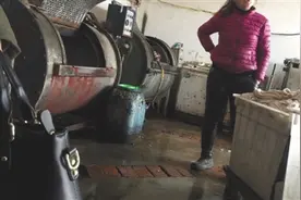 兔绒洗成“纯羊绒” 有网店羊绒衫不含绒图片