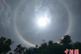 昆明天空现日晕景观 硕大光圈包裹太阳图片