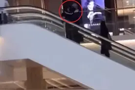 明星秀恩爱不分场合，范冰冰李晨电梯上演“少儿不宜”图片