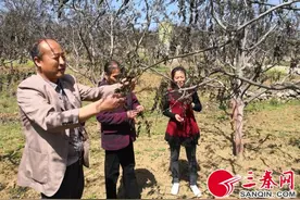 “倒春寒”霜冻来袭 致商洛180余万亩核桃绝收图片