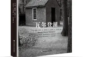 现代山居与田居：对另一种生活方式的野心图片