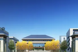 为了生命的自由生长图片