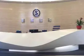 善林金融法定代表人投案自首，祸起关联融资？图片