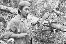 在亚马孙雨林经历绝地求生图片