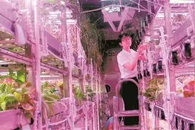 探秘“月宫”生活：200天密闭实验 犹如“世外桃源”图片