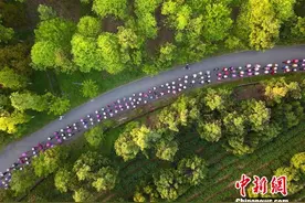 航拍“世界长寿之乡”江苏溧阳俯仰皆景的清晨一刻图片