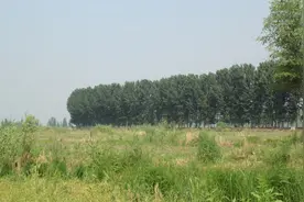 口述中国｜雄安⑤知鱼善捕的老镇长：休渔期监管要到位图片