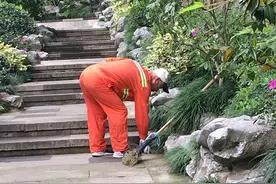 就是图个乐：67岁东北大伯一路旅游一路打工“走遍中国”图片