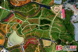 春到武冈│废弃采石厂变七彩花田 武冈“嗨花弄”里花开成海图片