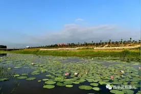 两河美景入画来 “大美新西平”摄影展作品展示（三）图片