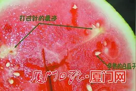 早熟西瓜高价上市并未热销 “催熟”传言也影响销量图片