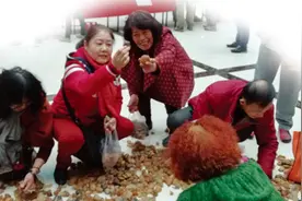 两万块嫩江五彩石吸引市民“随手拣”图片