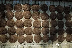 笔尖‖牛粪图片