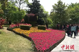 数万中外游客烟花三月下扬州踏春赏花图片