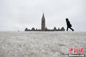 加拿大遭遇寒流袭击 多伦多等地变冰雪世界图片