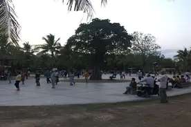 【特写】漂在海南的东北“老铁”们图片