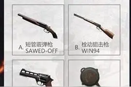 《绝地求生全军出击》沙漠争锋答题答案大全图片