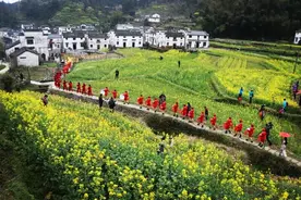 祖源，民宿群点亮乡村梦图片