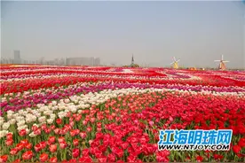 约会春天 南通公交将开通南通大学西-鲜花小镇定制班线图片