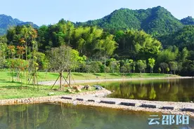 武冈这座公园以“营地带村”模式 带出一条新路子图片