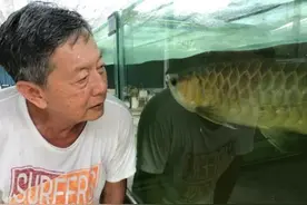 让鱼“遨游”中国！新加坡养殖商看好中国市场图片