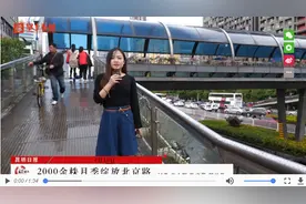 昆明“鲜花大道”升颜值 2000余株月季绽放北京路图片