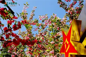 最美不过四月天图片