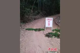 西双版纳勐海县发生野象攻击 一男子被踩踏导致死亡图片