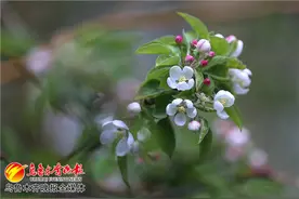 雨水又“卷土重来” 一首《凉凉》送给乌鲁木齐的你图片