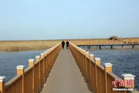 揭秘雄安规划：为何最先确定70%的蓝绿空间？图片