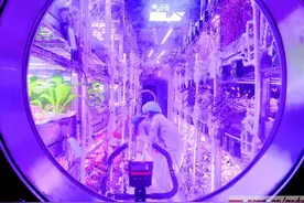 仰望星空，在“大罐子”里测试人类如何摆脱“摇篮”图片