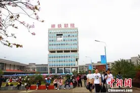 “高铁时代”催生广西铁道院校报考热  最热专业报录比47:1图片