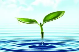 节水做得好政府最高补贴100万元 杭州城管委邀你和所在单位申报节水技改项目图片