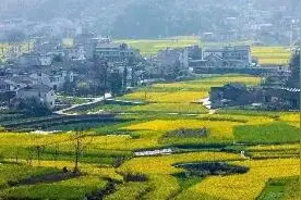 杭州职工注意！今年能出省疗休养了！西藏、四川、新疆已纳入图片