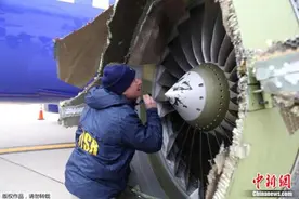 美国西南航空公司客机因被鸟撞而迫降 无人受伤图片