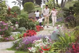 东莞植物园11个专类园昨起开放，专家游览后点赞“植物园本地特色世界罕见”图片