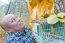 小记者动手制作鸟巢 乐山深处给小鸟安新家图片