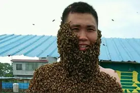 郴州养蜂人裸身穿“蜂衣” 数万只蜜蜂成特制“盔甲”图片