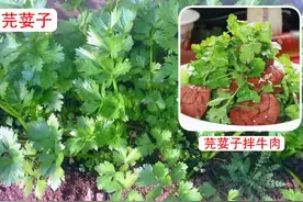 四川特有的食物名称！外地人完全听不懂！图片