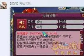 梦幻西游区霸强P反被吊打 土豪掉了数万元装备图片